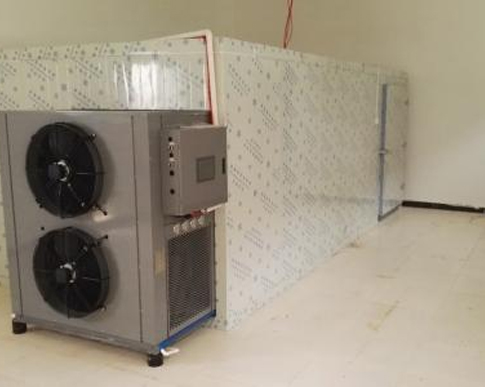 免费的看片网站 免费的看片网站